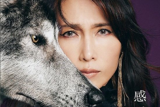 感受(工藤靜香單飛35周年紀念翻唱專輯) 感受(工藤靜香單飛35周年紀念翻唱專輯)