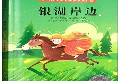 銀湖岸邊(2019年大象出版社出版的圖書) 銀湖岸邊(2019年大象出版社出版的圖書)