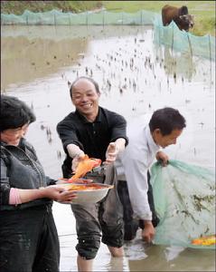 旺莊街道漁業示範園