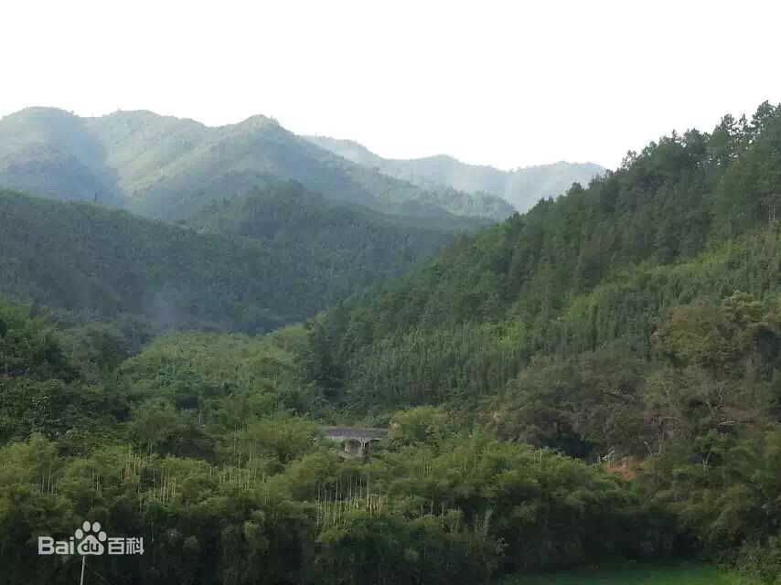 能永 能永