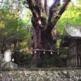 湯布院町 湯布院町