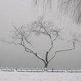 第一場雪(散文) 第一場雪(散文)