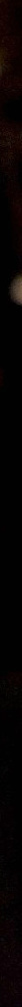 寂靜嶺:啟示錄(麥可·巴塞特執導電影) 寂靜嶺:啟示錄(麥可·巴塞特執導電影)