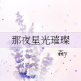 那夜星光璀璨 那夜星光璀璨