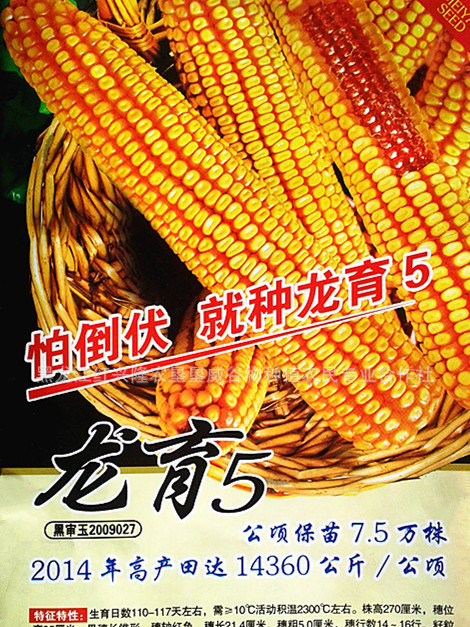 龍輻玉5號