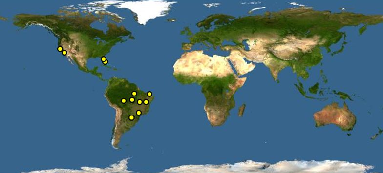 黃翅斑鸚哥分布圖
