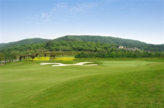 紫蓬灣國際高爾夫俱樂部