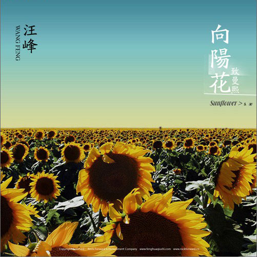 向陽花(汪峰的2011年專輯的第二首主打歌曲)