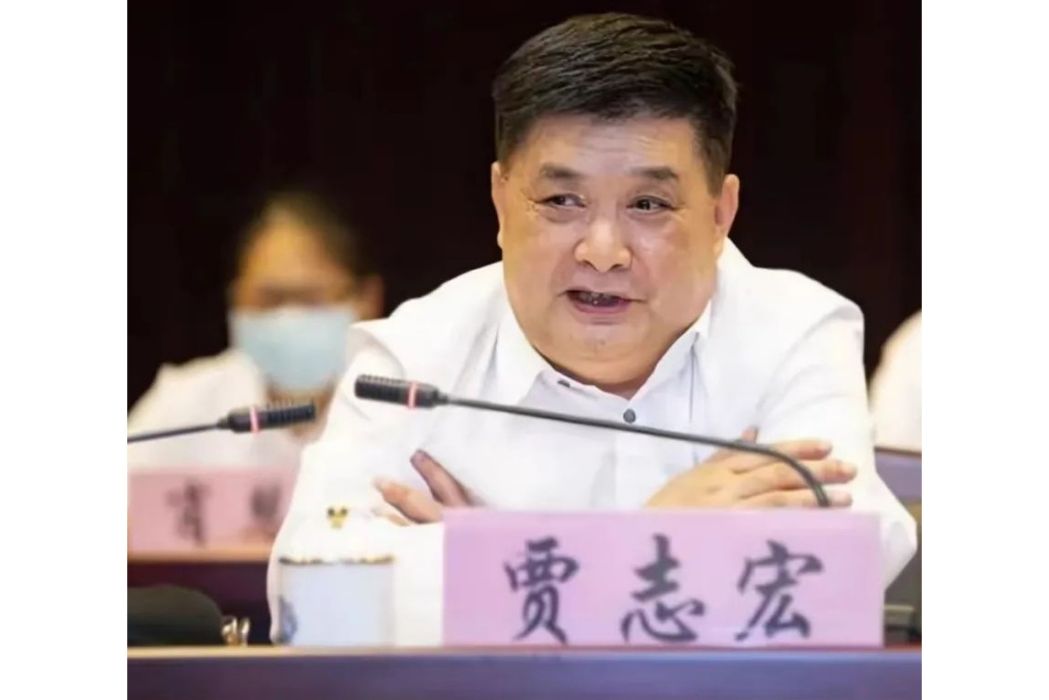賈志宏(武漢金凰珠寶股份有限公司董事長兼總經理,襄陽軸承實控人) 賈志宏(武漢金凰珠寶股份有限公司董事長兼總經理,襄陽軸承實控人)