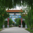 後溝村(山東榮城市城西街道下轄村) 後溝村(山東榮城市城西街道下轄村)