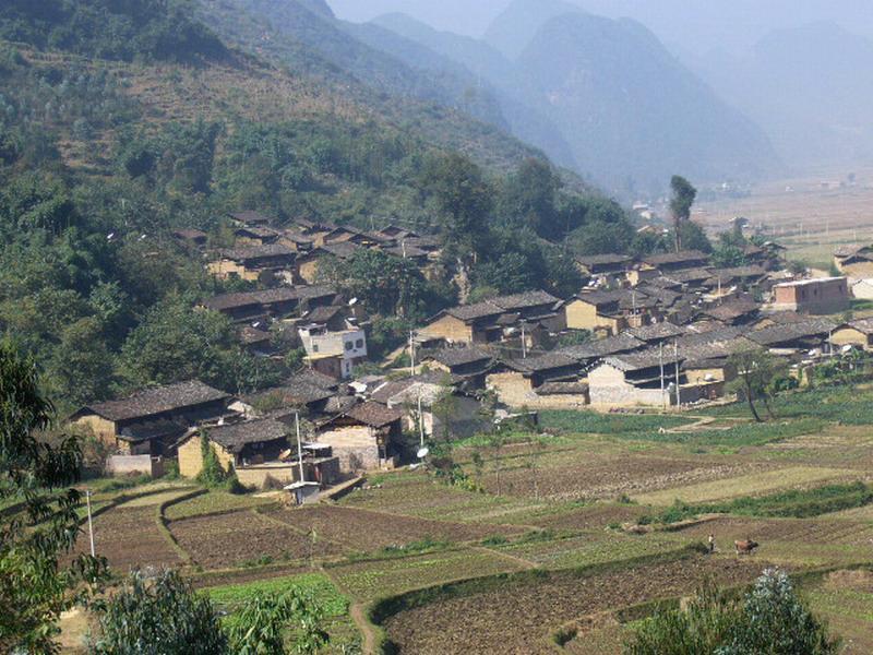 老五者村 老五者村