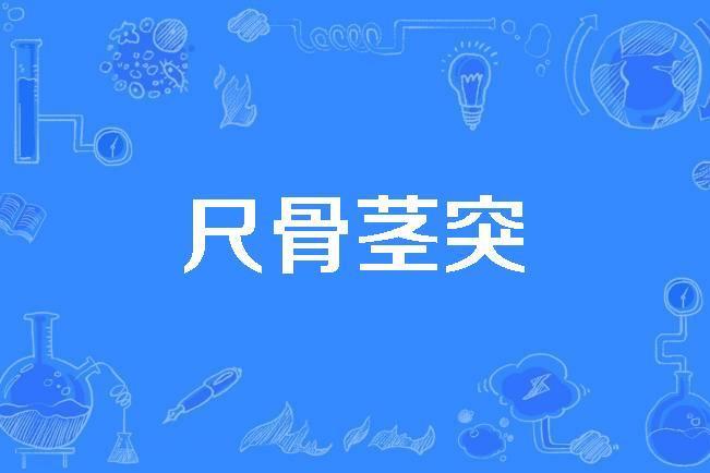 尺骨莖突 尺骨莖突