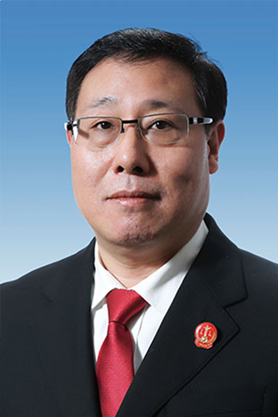 陳超(東莞市中級人民法院院長)