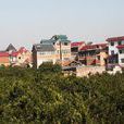 屯頭村(河南省南陽市新野縣溧河鋪鎮屯頭村) 屯頭村(河南省南陽市新野縣溧河鋪鎮屯頭村)