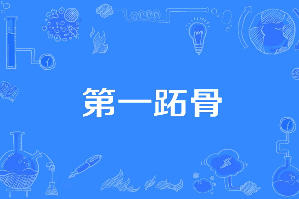 第一跖骨 第一跖骨