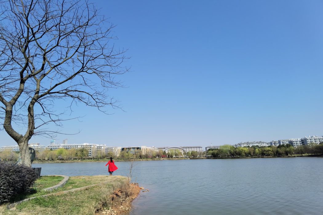 黃家拐湖 黃家拐湖