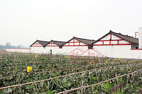 大定橋村 大定橋村