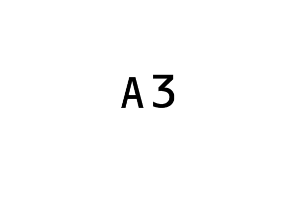 A3(遊戲術語)