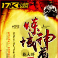 煉域神尊 煉域神尊