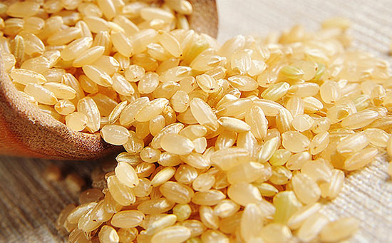 糙米營養食品