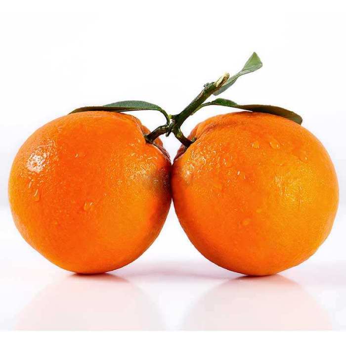 紅格臍橙 紅格臍橙