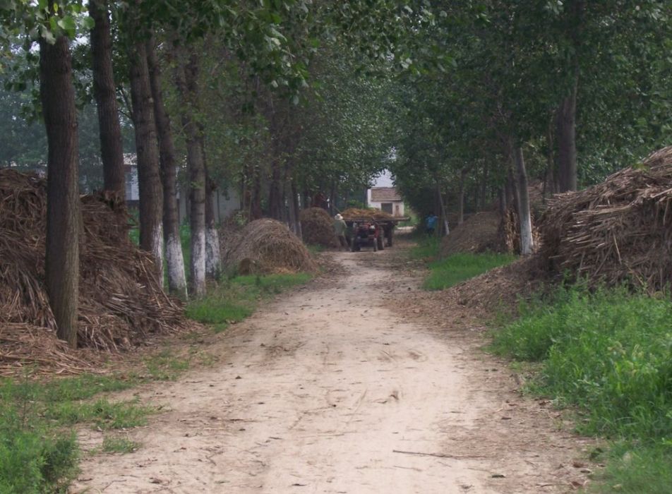 龔堂村 龔堂村