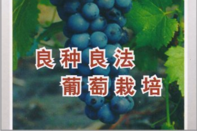 良種良法葡萄栽培