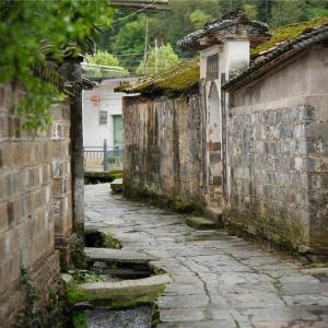 洪村村(江西省上饒市婺源縣清華鎮轄村)