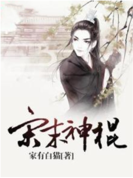 宋末神棍 宋末神棍