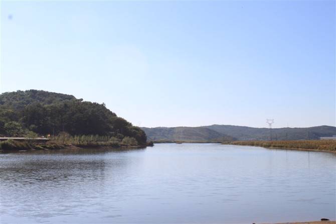 柳林河