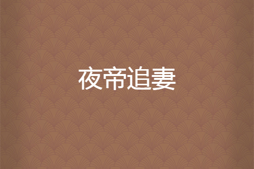 夜帝追妻 夜帝追妻