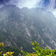 黃龍山(湘鄂贛交界山脈)