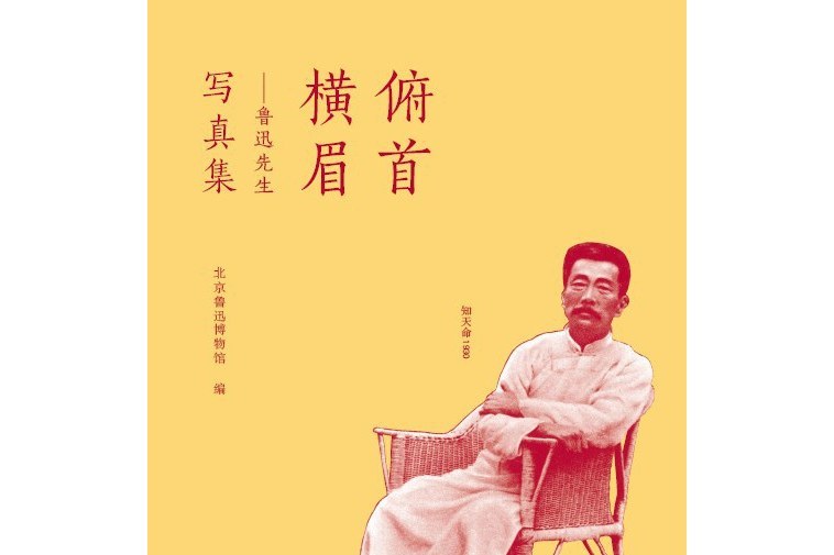 俯首橫眉 俯首橫眉