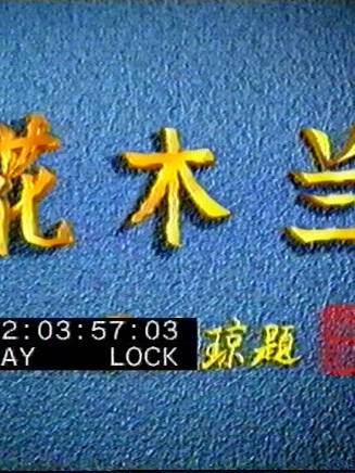 何賽飛