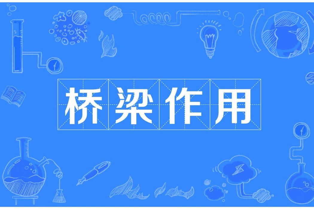 橋樑作用 橋樑作用