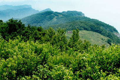 前東峪村 前東峪村