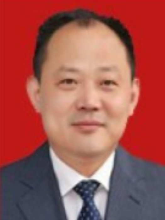 韓鋒(安徽省六安市數據資源管理局黨組書記、局長)