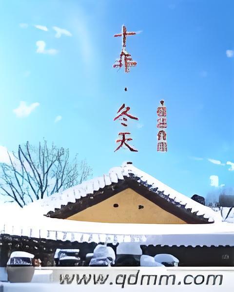十年冬天 十年冬天