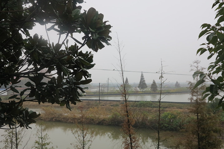 永樂圩 永樂圩