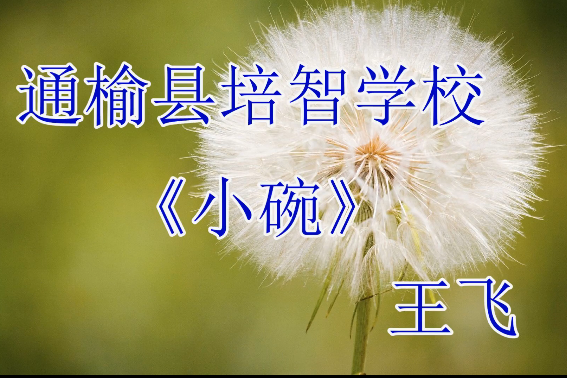 小碗(通榆縣培智學校提供的微課課程) 小碗(通榆縣培智學校提供的微課課程)