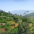 下河川村 下河川村