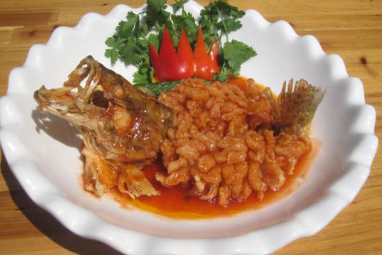 珊瑚鱖魚 珊瑚鱖魚