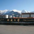 西藏大學財經學院