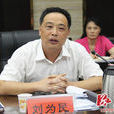 劉為民(湖南省煤炭管理局副巡視員) 劉為民(湖南省煤炭管理局副巡視員)