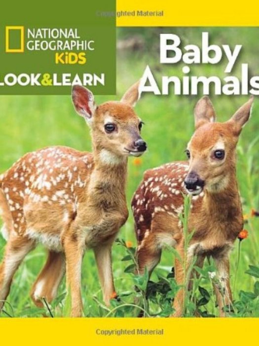 National Geographic Kids Look and Learn: Baby Animals National Geographic Kids Look and Learn: Baby Animals
