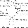 3β-羥類固醇脫氫酶缺陷