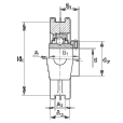 FAG RTUE40軸承 FAG RTUE40軸承