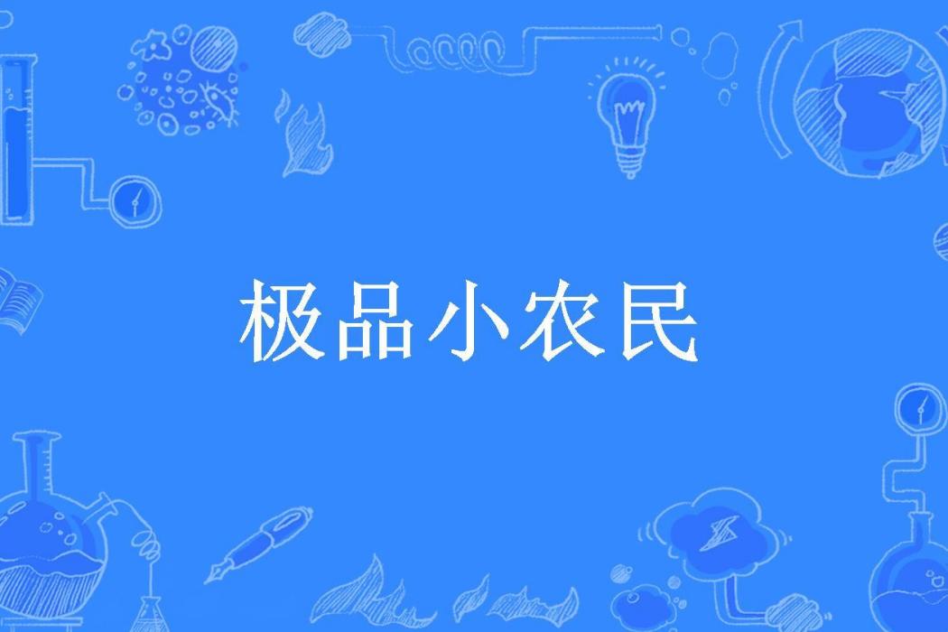 極品小農民(加減乘除所著小說) 極品小農民(加減乘除所著小說)