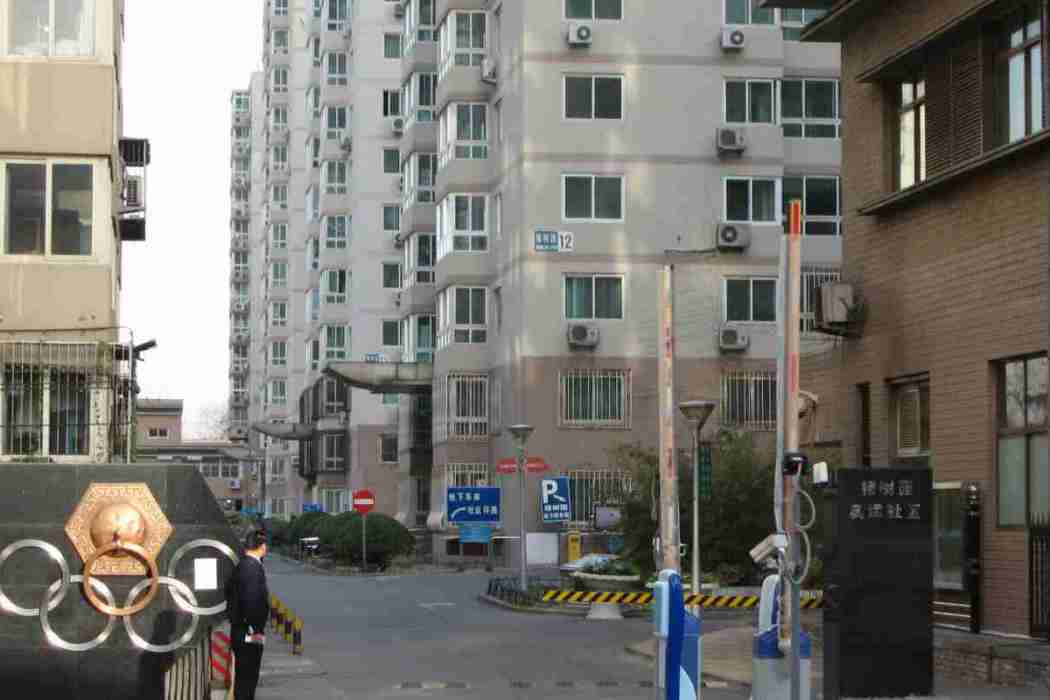 椿樹園小區 椿樹園小區
