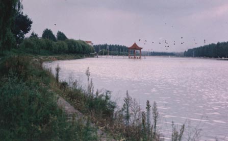 澄月湖